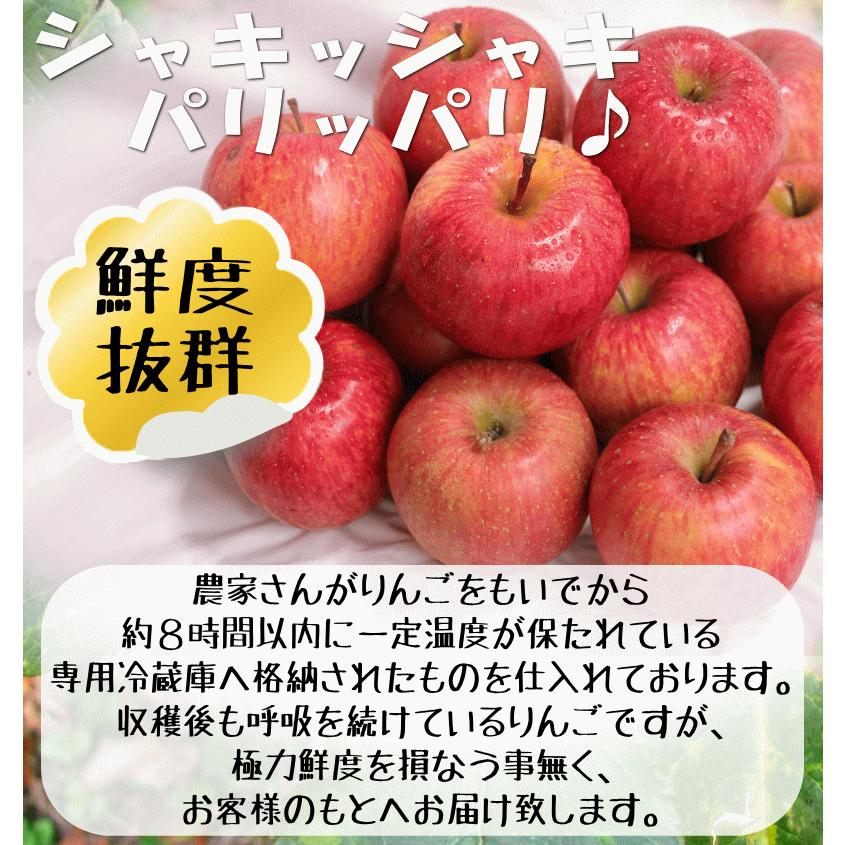 クーポンで10%引き！即日発送！りんご 5kg箱 家庭用/訳あり 青森 リンゴ 5キロ 選べる品種 送料無料 ５キロ【家庭用訳あり】★選べる品種 家訳 5kg箱 |  | 15