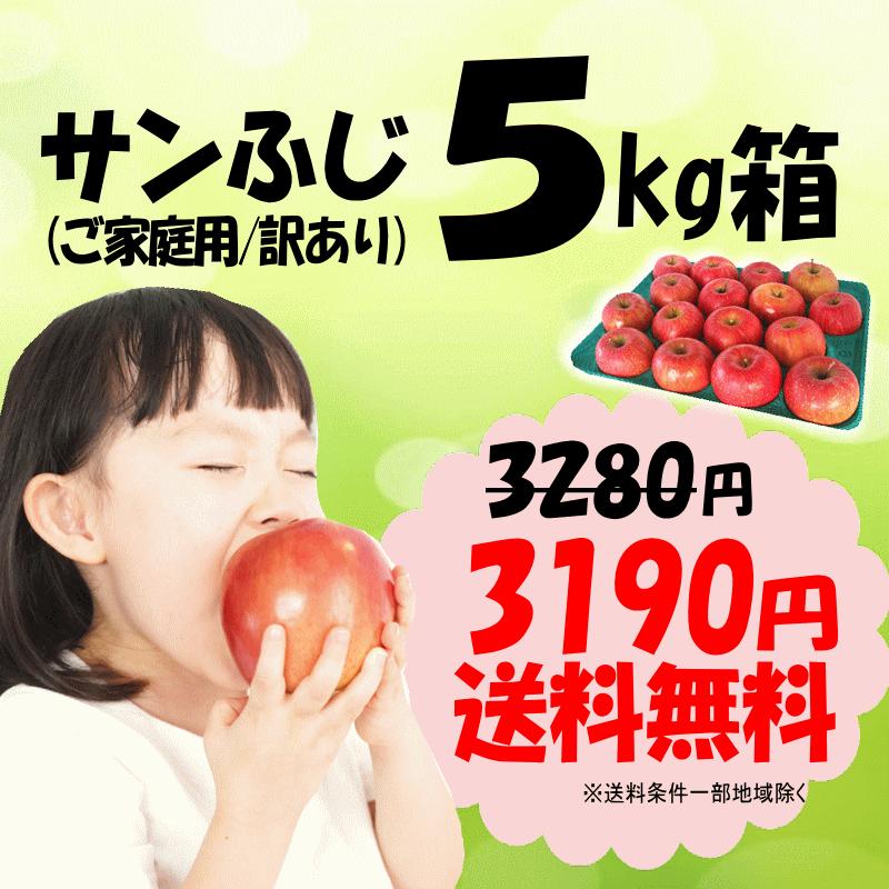 更にクーポン最大700円引き☆りんご 5kg箱 青森 リンゴ 訳あり/家庭用