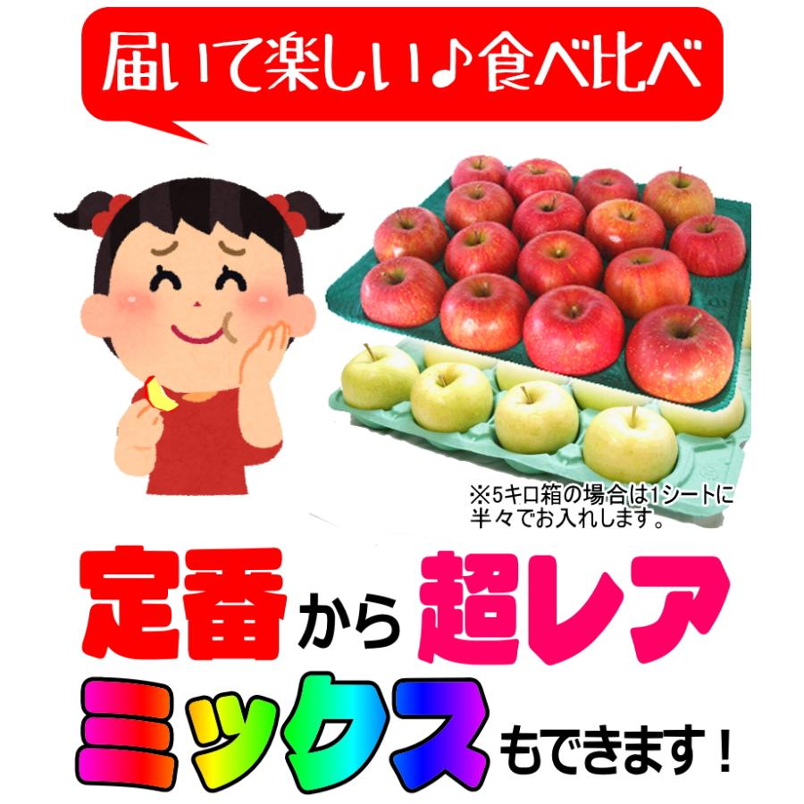 クーポンで10%引き！即日発送！りんご 5kg箱 家庭用/訳あり 青森 リンゴ 5キロ 選べる品種 送料無料 ５キロ【家庭用訳あり】★選べる品種 家訳 5kg箱 |  | 03