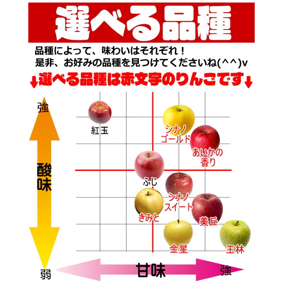 クーポン10%引き！即日発送！りんご 5kg箱 家庭用/訳あり 青森 リンゴ