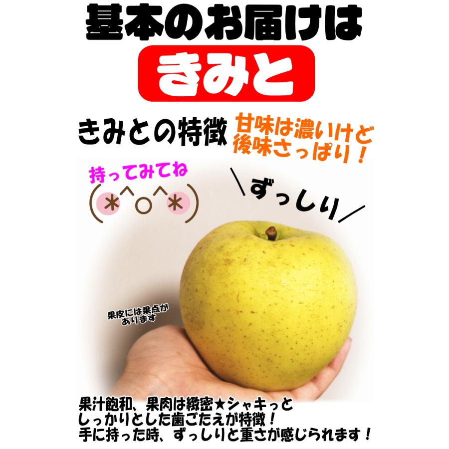 クーポンで10%引き！即日発送！りんご 5kg箱 家庭用/訳あり 青森 リンゴ 5キロ 選べる品種 送料無料 ５キロ【家庭用訳あり】★選べる品種 家訳 5kg箱 |  | 06