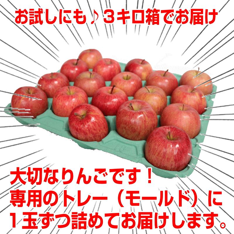 あすつく 青森 りんご 5kg 訳あり/家庭用 サンふじ クール便 送料無料 旬シリーズ★選べるサンふじ王林 家訳 5kg箱｜world-wand｜11