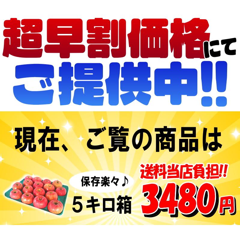 クーポンで10%引き！青森 りんご 5kg箱 訳あり/家庭用 サンふじ 送料