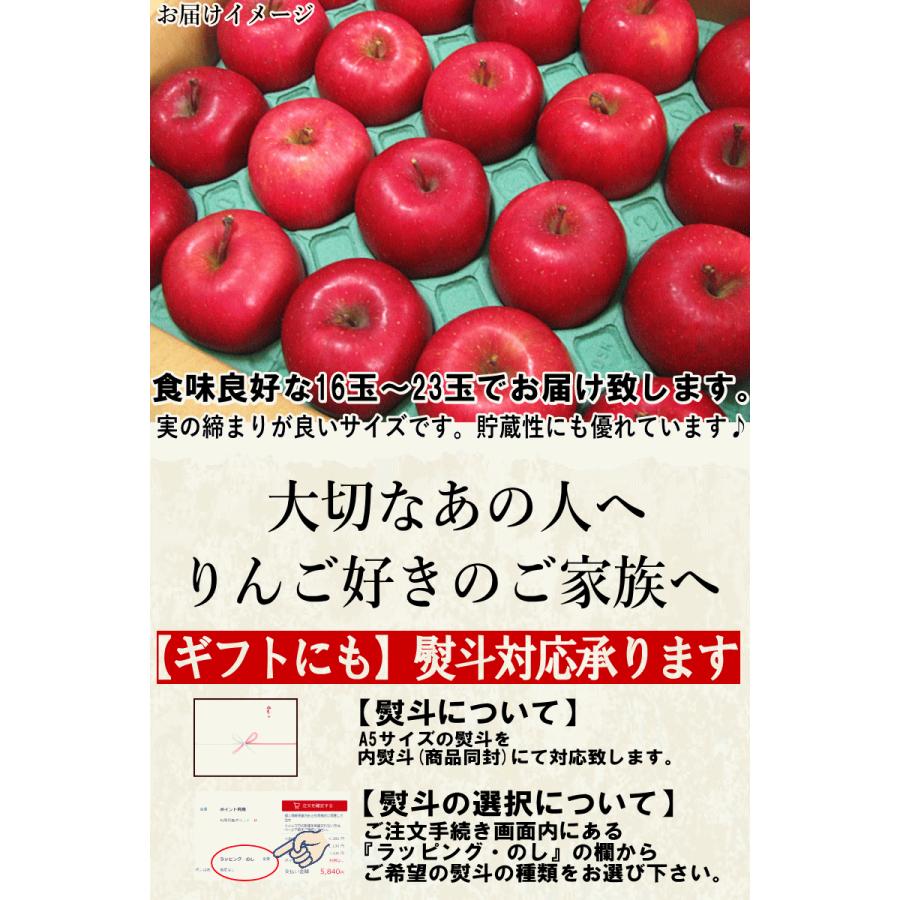 クーポンで10％引き！青森 りんご 5kg箱 16玉-23玉 贈答用 送料無料
