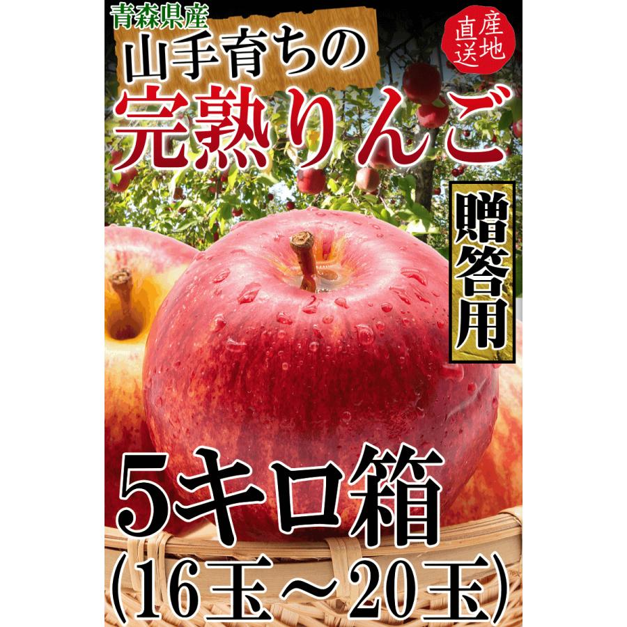 青森 りんご 贈答用 ふじ 5kg箱 送料無料【各種熨斗対応】青森県産 りんご ギフト 贈り物 5kg箱  スターキングデリシャス/サンふじ/王林/5キロ箱