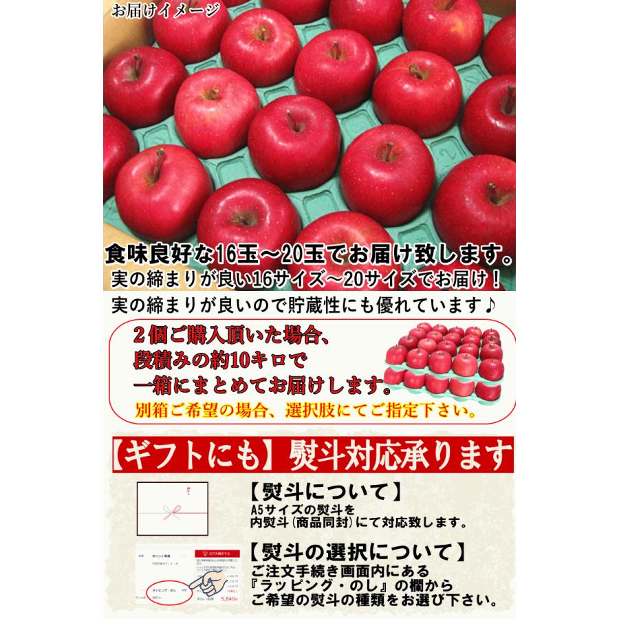 青森 りんご 贈答用 ふじ 5kg箱 送料無料【各種熨斗対応】青森県産 りんご ギフト 贈り物 5kg箱  スターキングデリシャス/サンふじ/王林/5キロ箱