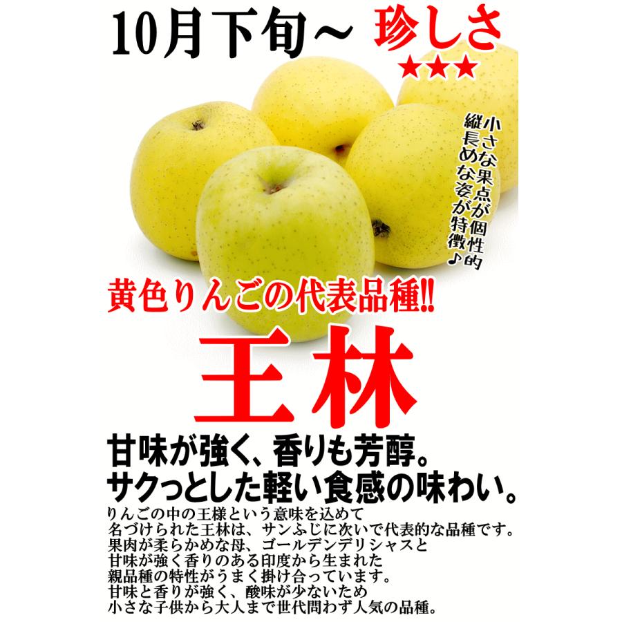 クーポンで10％引き☆青森 りんご 5kg箱 16玉-23玉 贈答用 送料無料 