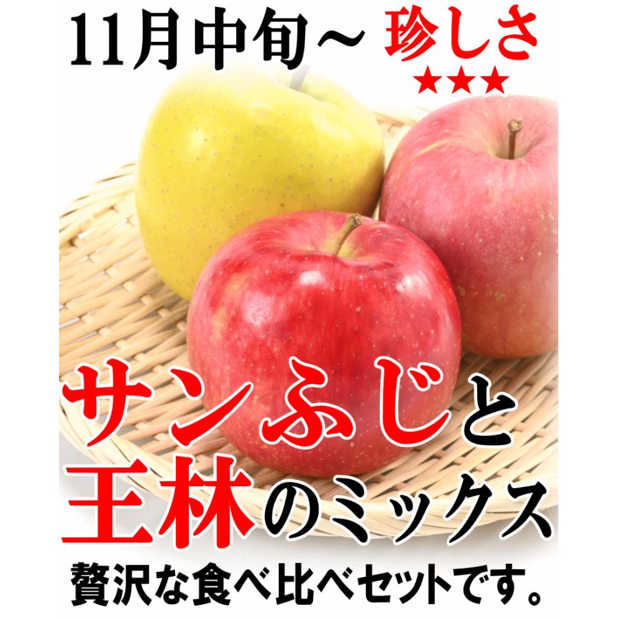 クーポンで10％引き☆青森 りんご 5kg箱 16玉-23玉 贈答用 送料無料 