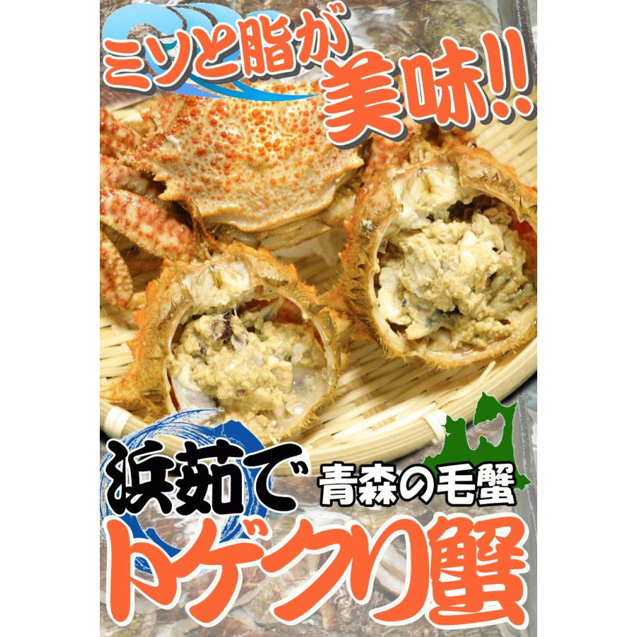 コロナ禍食べて応援 青森の毛蟹 トゲクリ蟹 オス 1キロ 約2杯 4杯 送料無料 青森の毛蟹 トゲクリガニ オス1kg Kani01 青森期待の新人商店 通販 Yahoo ショッピング