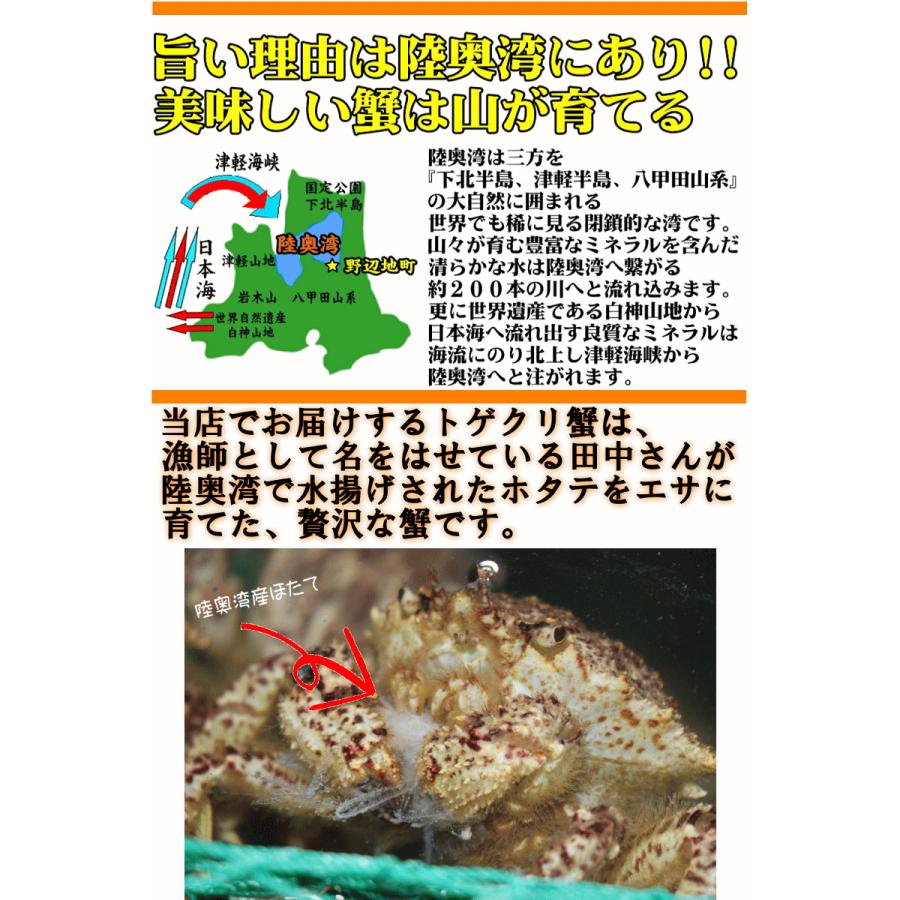 最安2880円で購入可！かに 1kg カニ 蟹 格安 青森の毛蟹 トゲクリガニ