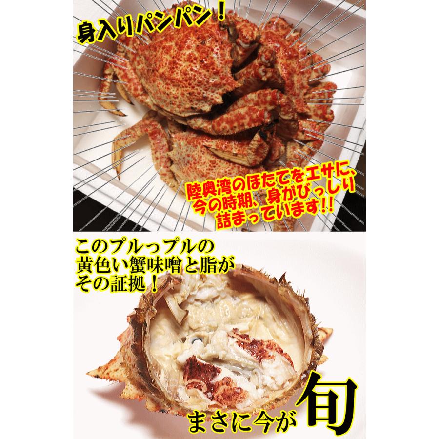 食べて応援！かに 1kg カニ 蟹 格安 青森の毛蟹 トゲクリガニ オス