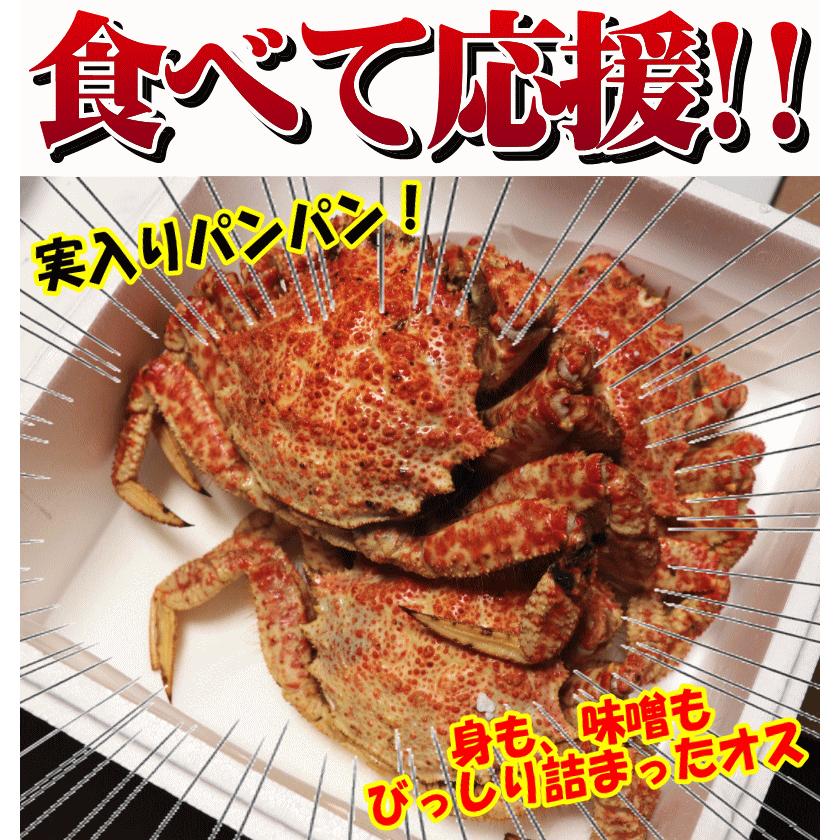 カニさんです 日本海が誇る福井のカニ食べ比べセット | のおつまみ | クラフト酒