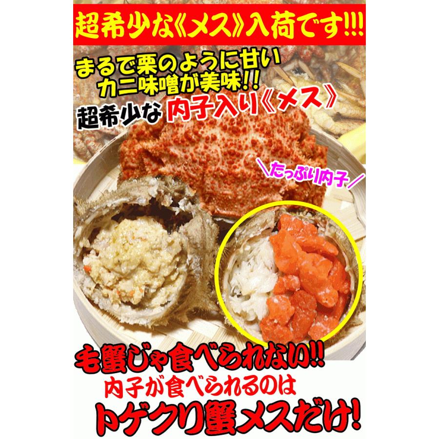 【日時指定OK】かに 格安 青森の毛蟹 トゲクリガニ メス 1kg 約4杯〜8杯 送料無料 カニ ボイル トゲクリ蟹 海産｜world-wand｜02