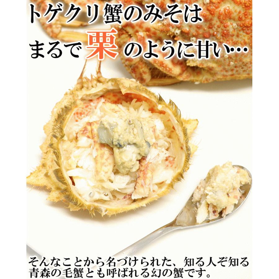 最終セール5280円⇒4980円【日時指定OK】かに 格安 青森の毛蟹 トゲクリガニ メス 1kg 約4杯〜8杯 送料無料 カニ ボイル トゲクリ蟹 海産｜world-wand｜10