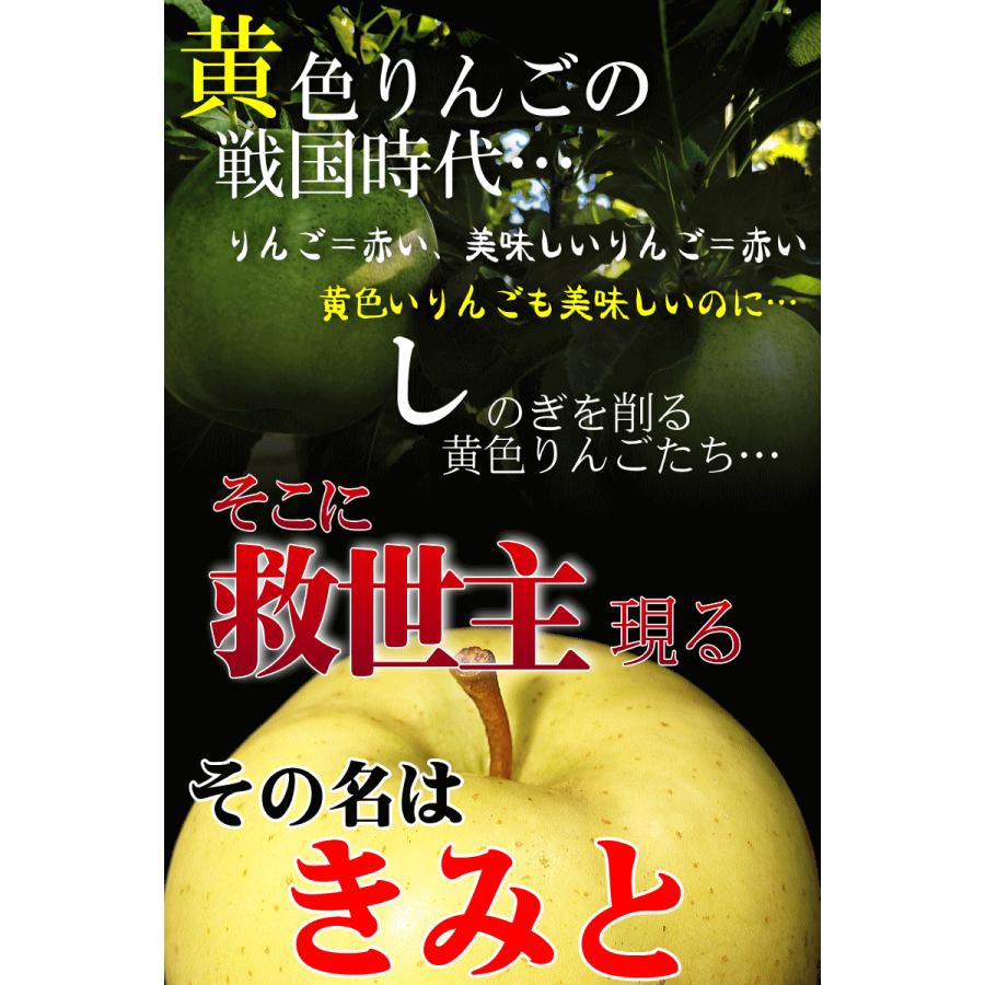 ■中箱■ 10㌔　幻の林檎　高徳　希少りんご　青森県産　クロネコ便 青森 りんご 10kg箱 きみと 送料無料 家庭用/訳あり リンゴ 訳あり 10