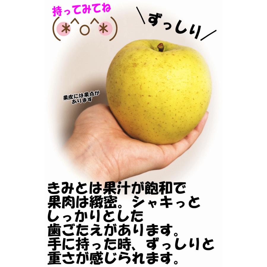 青森県産 ＂ きみと ＂ りんご 家庭用 10kg 産地直送 リンゴ 林檎 Amazon.co.jp: 青森 りんご 10kg箱 きみと ご家庭用/訳あり 林檎 10