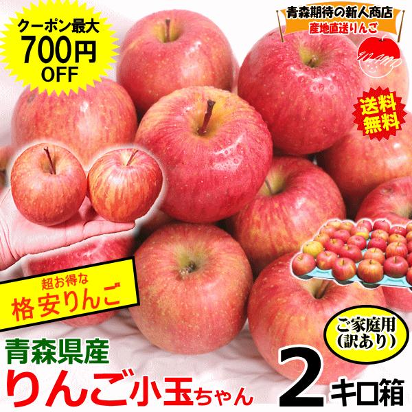 サンふじ　家庭用小玉20キロ 手のひらサイズの小玉、サンふじ 家庭用4キロ 20個～25個 ｜ 果物