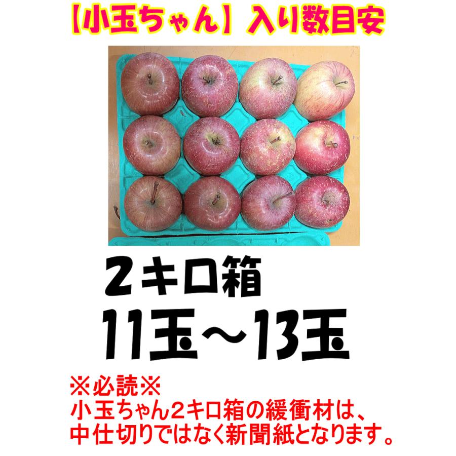 ゆぅ　サンふじ　訳あり(超小玉)箱込み約13kg りんご 2kg箱 小玉リンゴ サンふじ 家庭用/訳あり 青森 リンゴ 2キロ