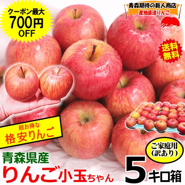 りんご 5kg箱 小玉リンゴ サンふじ 家庭用/訳あり 青森 リンゴ 5キロ 送料無料 りんごリンゴ 訳あり★サンふじ 小玉 家訳 5kg箱（Yahoo!・青森期待の新人商店）