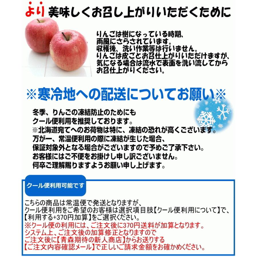 青森 りんご サンふじ 小玉 訳あり 5kg箱 送料無料 ご家庭用/訳あり 25玉〜30玉 5キロ箱★サンふじ 小 家訳 5kg箱｜world-wand｜12