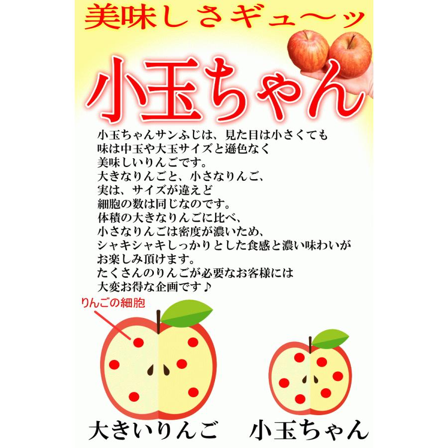 青森 りんご サンふじ 小玉 訳あり 5kg箱 送料無料 ご家庭用/訳あり 25玉〜30玉 5キロ箱★サンふじ 小 家訳 5kg箱｜world-wand｜06