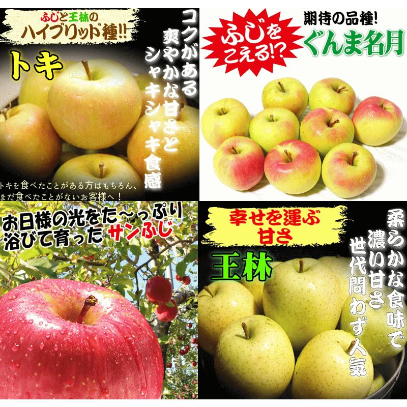 りんご 5kg箱 青森 リンゴ サンふじ 始め 選べるトキ ぐんま名月 訳