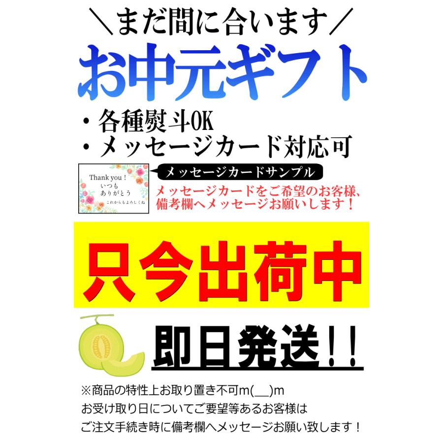 【出荷中】お中元 メロン ギフト 化粧箱 優〜秀品(1玉約1.4kg×2玉セット)青森 つがる 贈答｜world-wand｜04