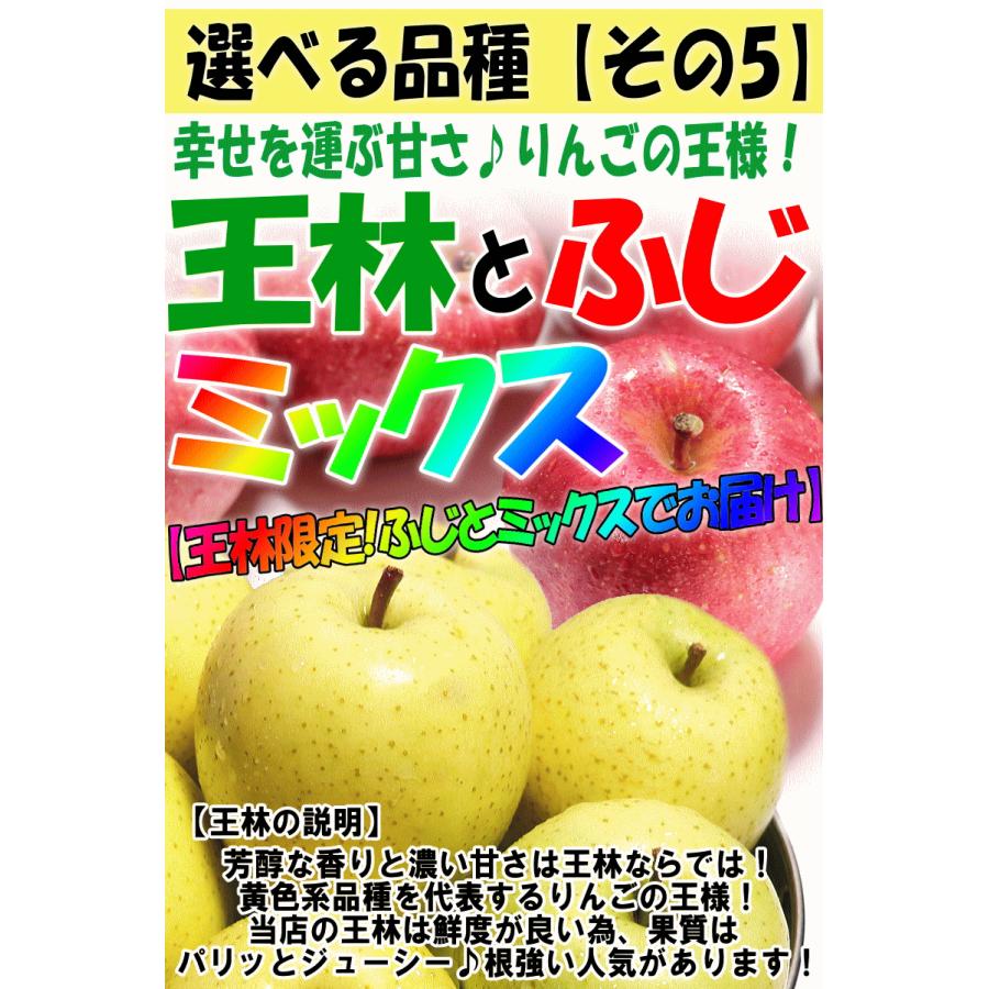 セール！りんご 10kg箱 家庭用/訳あり 青森 リンゴ 10キロ箱 サンふじ