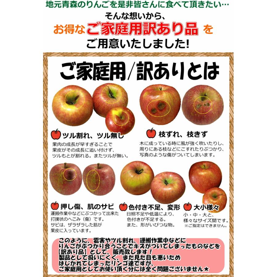 セール！りんご 10kg箱 家庭用/訳あり 青森 リンゴ 10キロ箱 サンふじ
