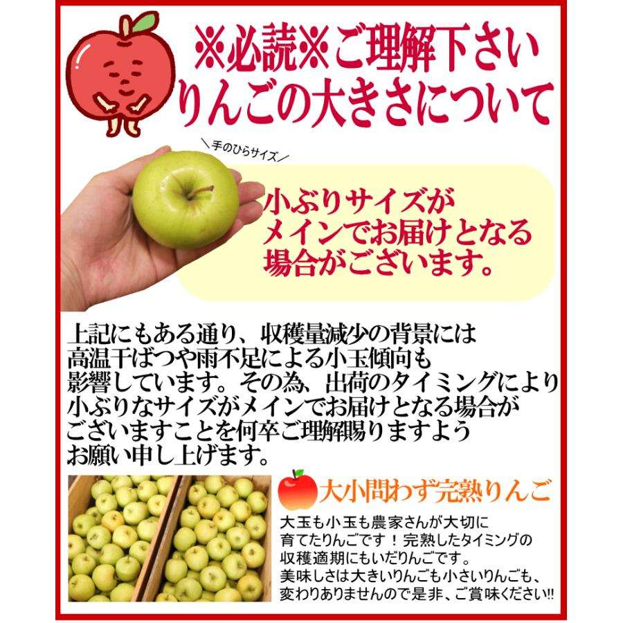 りんご 10kg箱 サンふじとぐんま名月のミックス 青森 リンゴ 家庭用/訳