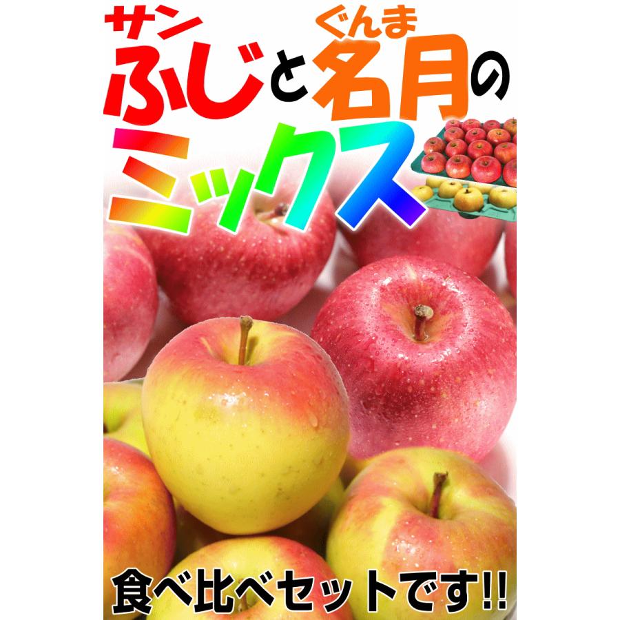 りんご 10kg箱 サンふじとぐんま名月のミックス 青森 リンゴ 家庭用/訳