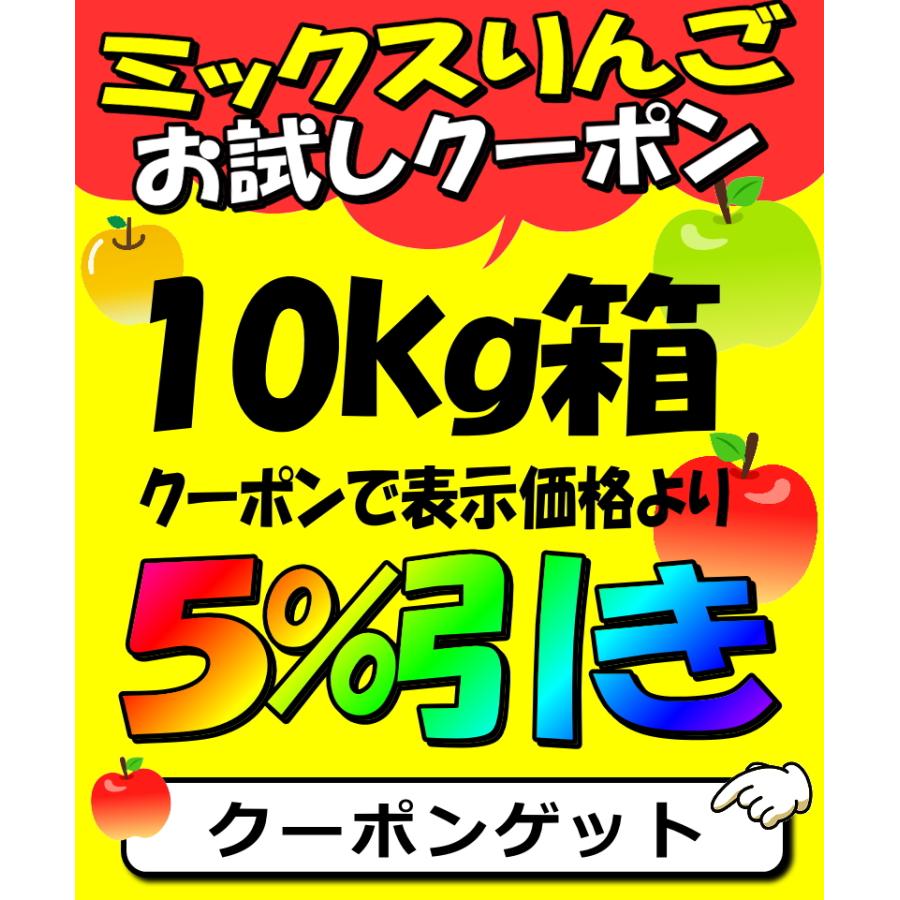 セール！りんご 10kg箱 家庭用/訳あり 青森 リンゴ 10キロ箱 サンふじ