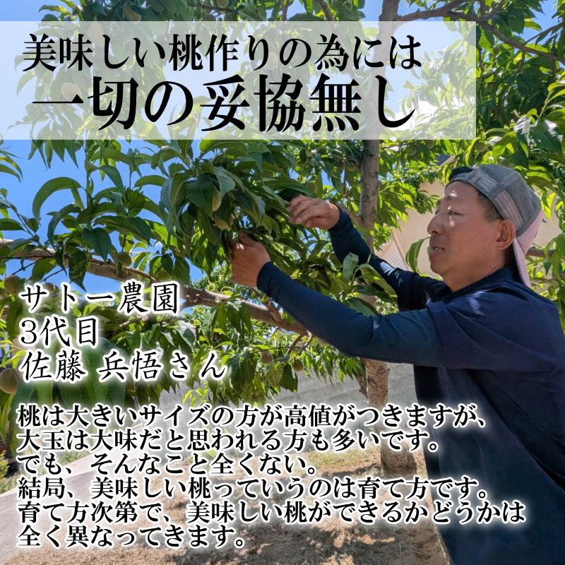 爆買！敬老の日☆ クーポンで4032円！桃 もも 福島 糖度13％以上 約2kg