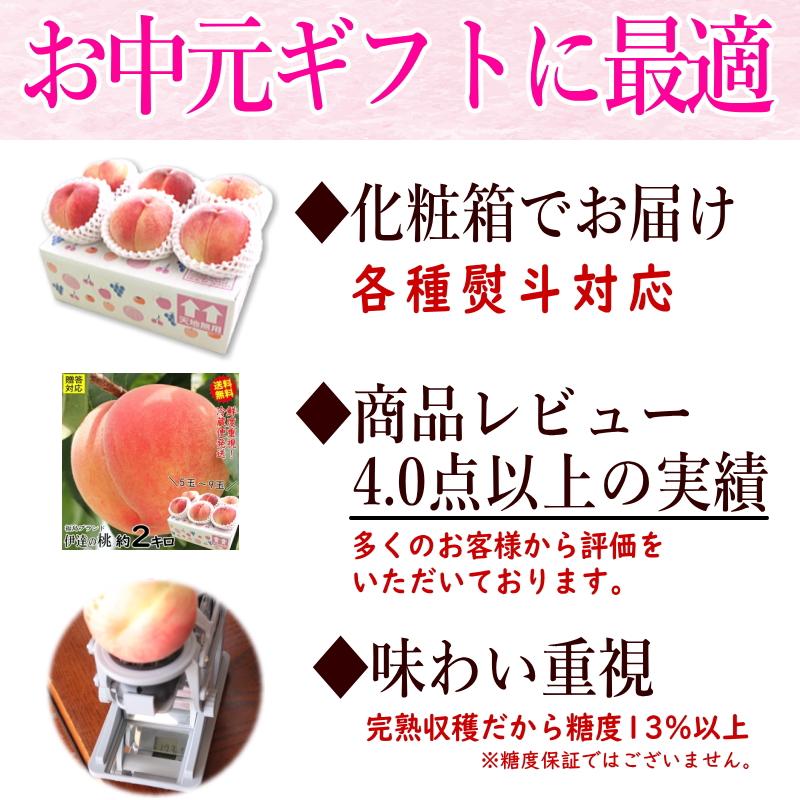 爆買！敬老の日☆ クーポンで4032円！桃 もも 福島 糖度13％以上 約2kg