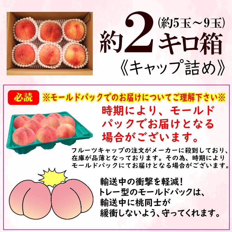 早割クーポンで4280円！糖度13％以上 桃 もも 福島 約2kg 5玉〜9玉