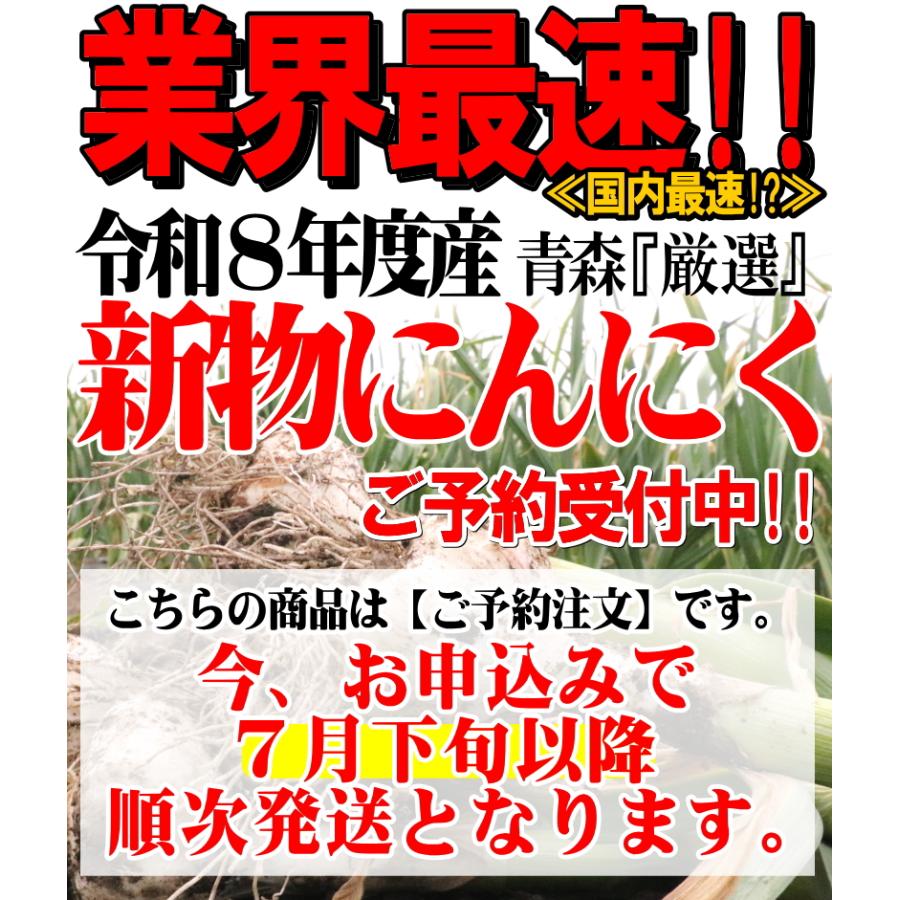 新物！にんにく 青森 1kg Lサイズ厳選 AB品混合 国産 ニンニク 1キロ