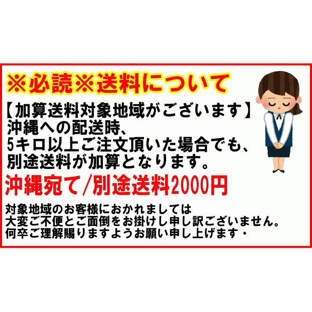 クーポンで10%引き【新物】にんにく 青森 1kg Lサイズ厳選 AB品混合