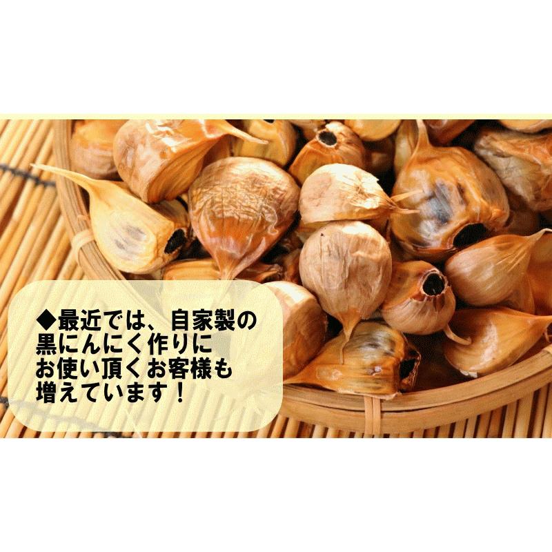 にんにく 青森 1kg Mサイズ厳選 AB品混合 国産 ニンニク 1キロ ネット