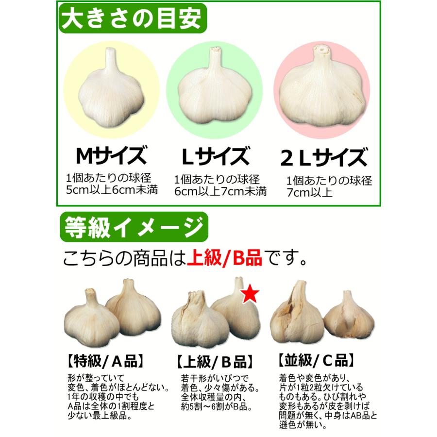 にんにく 1kg 青森 Mサイズ厳選 上級/B品 国産 ニンニク B品1キロ 中国産と比べて 5kg以上送料無料 :ninniku-bm:青森期待の新人商店 - 通販 - Yahoo!ショッピング にんにく 1kg 青森 Mサイズ厳選 上級/B品 国産 ニンニク B品1キロ 中国産と比べて 5kg以上送料無料 :ninniku-bm:青森期待の新人商店 - 通販 - Yahoo!ショッピング