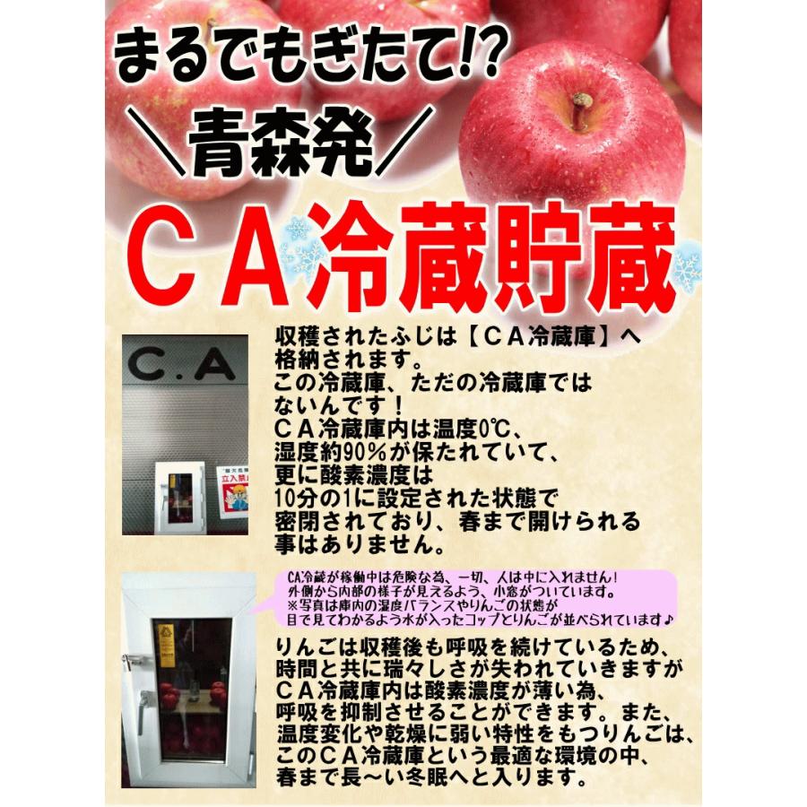 クーポン3%引き！青森 りんご 5kg箱 金星 有袋 樹上完熟栽培 家庭用/訳