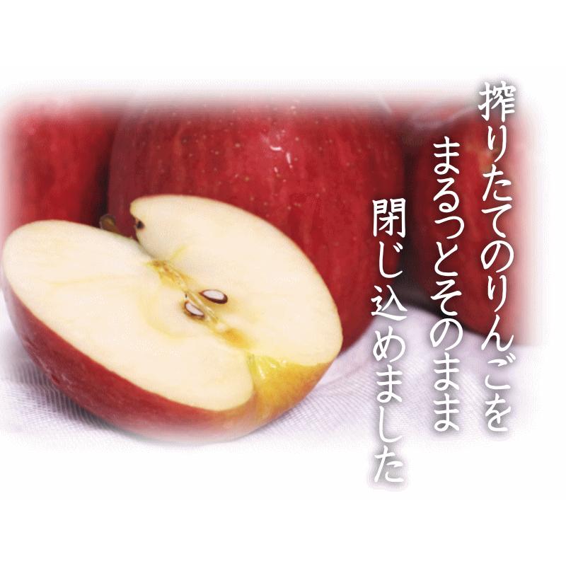 青森県産 100％ りんごジュース 1000ml入り 3本セット 完全 旬の味だけ