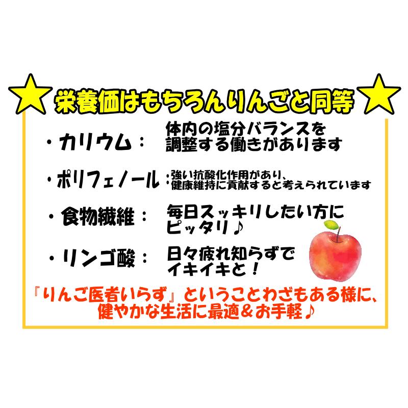 青森県産 100％ りんごジュース 1000ml入り 3本セット 完全 旬の味だけ
