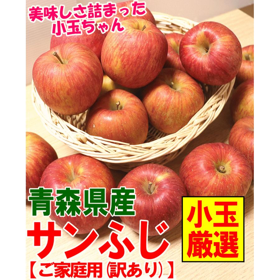 りんご 10kg箱 訳あり 小玉 サンふじ 送料無料 10キロ箱 ご自宅用