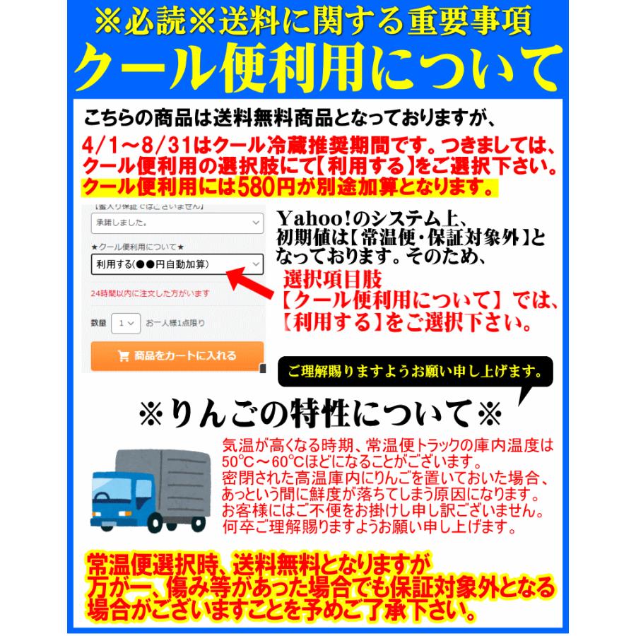 旬シリーズ 青森 りんご シナノスイート 10kg箱【クール便推奨】常温便送料無料 家庭用/訳あり 青森 リンゴ 訳あり 10キロ箱★スイート 家訳 10kg箱｜world-wand｜03