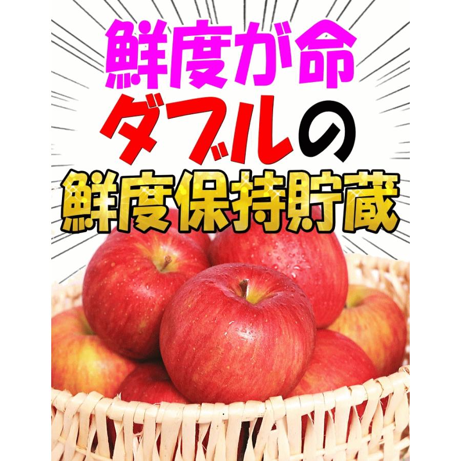 旬シリーズ 青森 りんご シナノスイート 10kg箱【クール便推奨】常温便送料無料 家庭用/訳あり 青森 リンゴ 訳あり 10キロ箱★スイート 家訳 10kg箱｜world-wand｜06