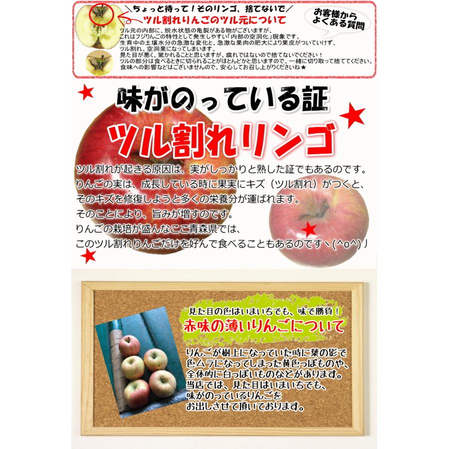 青森 りんご 10kg箱 訳あり サンふじはじめ選べる品種 送料無料 10キロ