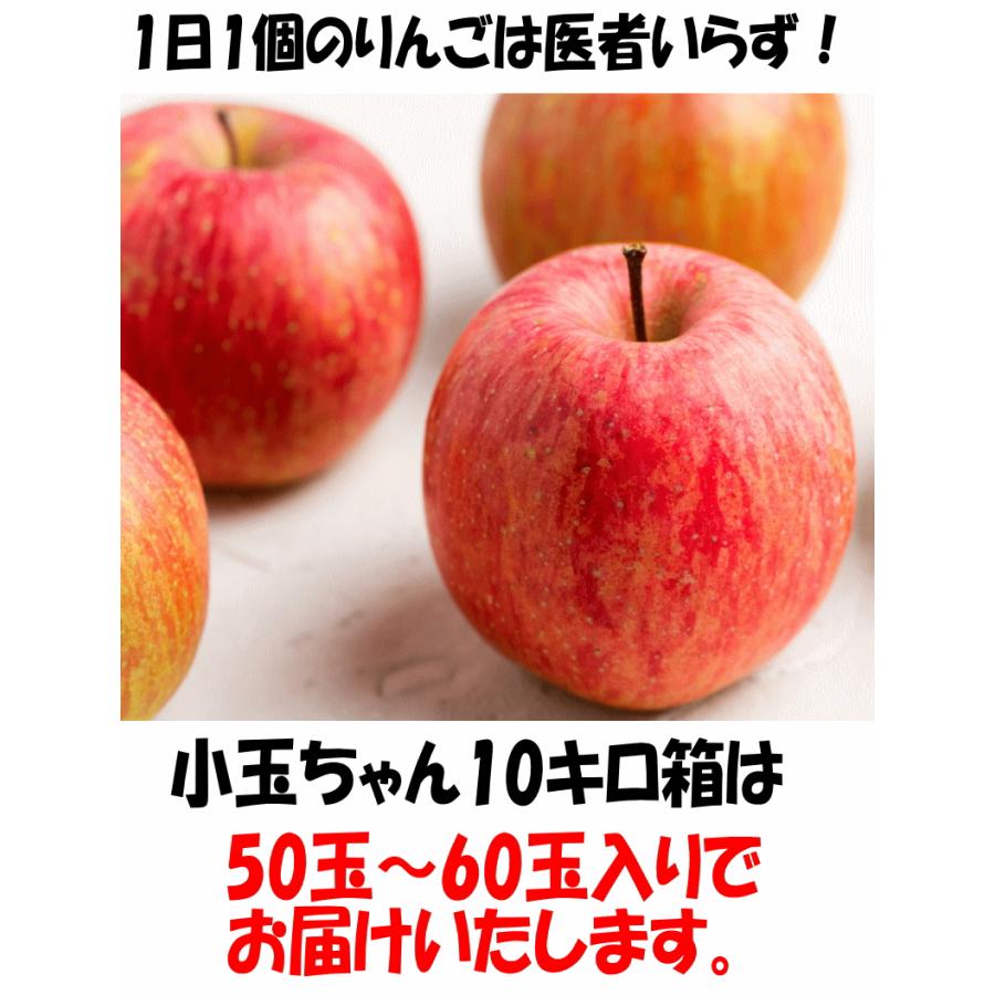 りんご 10kg箱 小玉リンゴ サンふじ 家庭用/訳あり 青森 リンゴ 10キロ