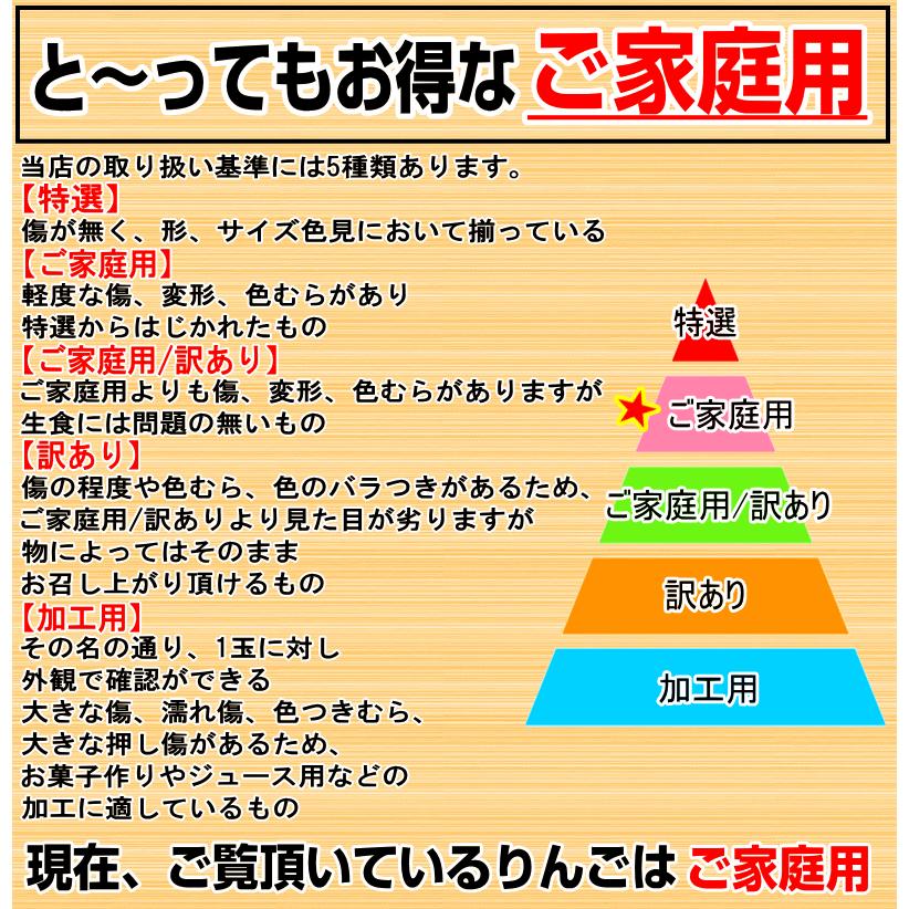 あすつく 青森 りんご 10kg箱 サンふじ 家庭用 クール便 送料無料 リンゴ 訳あり 10キロ箱 旬シリーズ★サンふじ 家 10kg箱｜world-wand｜09