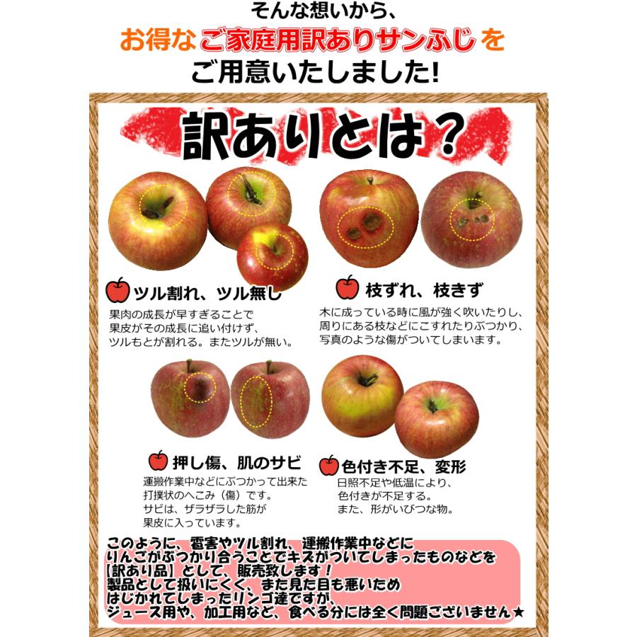 【もにょもにょ】葉とらずサンふじ小玉10kg×2箱セット りんご サンふじ 10Kg」の人気商品一覧 | 安い商品を通販サイトから