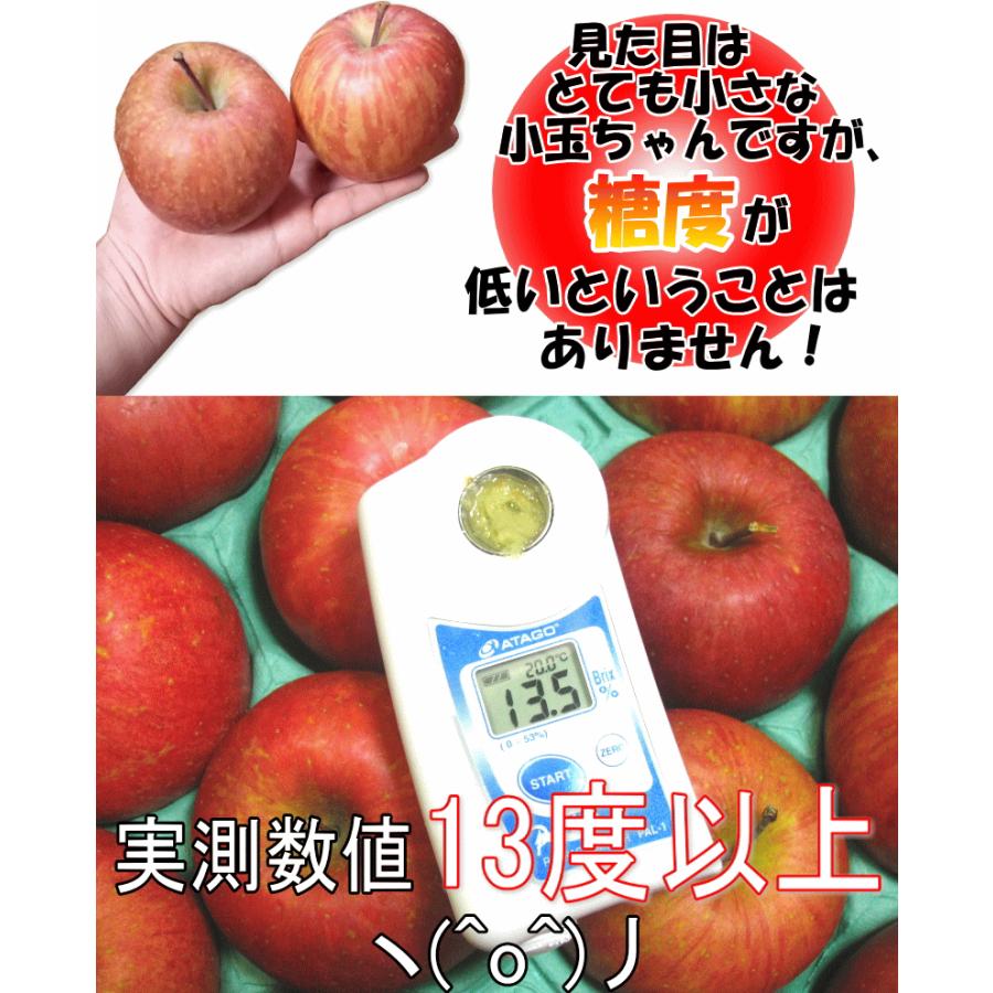 【もにょもにょ】葉とらずサンふじ小玉10kg×2箱セット 楽天市場】葉とらず りんご 訳あり 10キロの通販